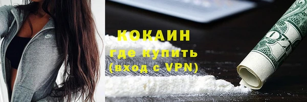 МДПВ Каменка