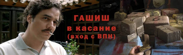 МДПВ Каменка