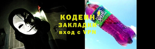 МДПВ Каменка