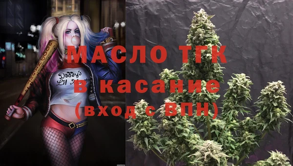 МДПВ Каменка