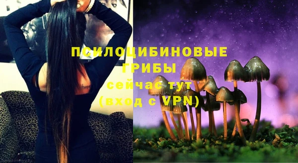 а пвп мука Калининец
